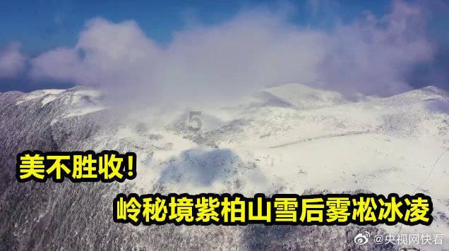 饥饿的哈利
